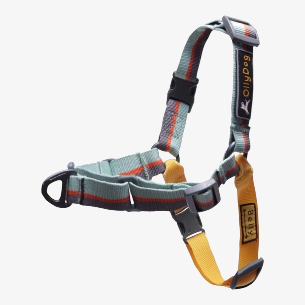 OllyDog Essential Dog Harness Surf Green Orange Yellow Size Medium